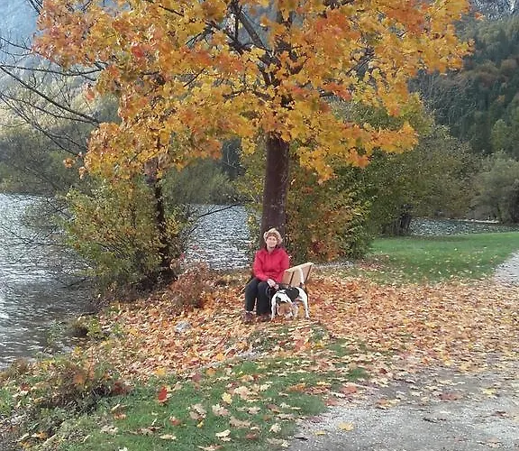 Διαμέρισμα Cesar Bohinj