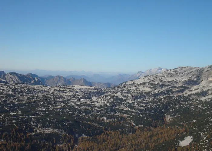 Cesar Διαμέρισμα